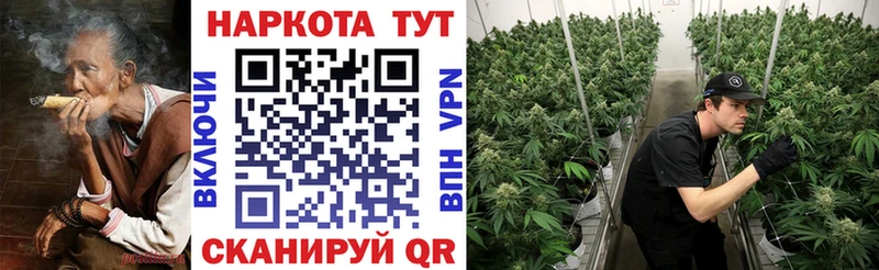 Где продают наркотики Кашира Конопля АМФ МЕТАМФЕТАМИН Галлюциногенные грибы Гашиш Меф Alpha-PVP КОКАИН