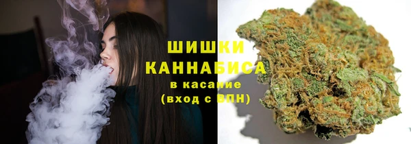 амф Зеленодольск