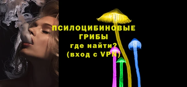 амф Зеленодольск