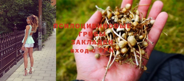 MDMA Зерноград