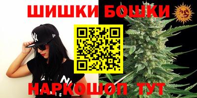 стафф Волгодонск