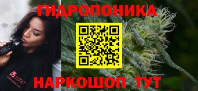 стафф Волгодонск