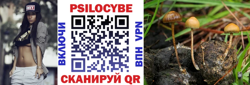 Псилоцибиновые грибы GOLDEN TEACHER Кашира