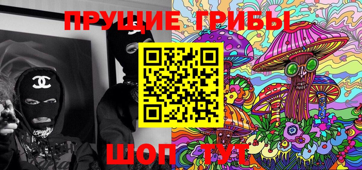 Псилоцибиновые грибы Psilocybe Кашира